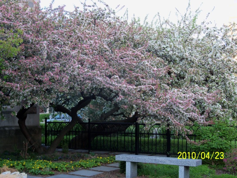 100_0391 [800x600].JPG